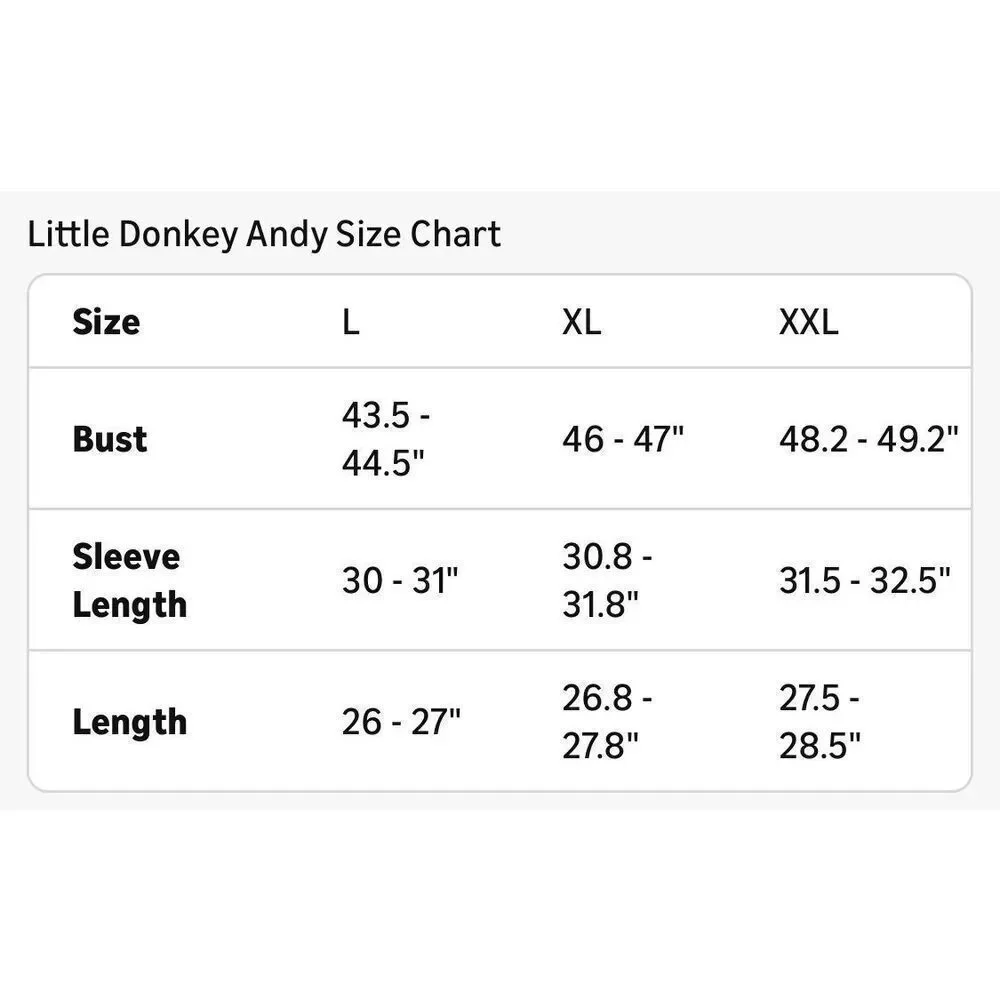 Little Donkey Andy little donkey